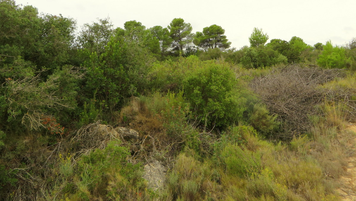 Cmo construir una casa mvil por menos de 3.500 dlares